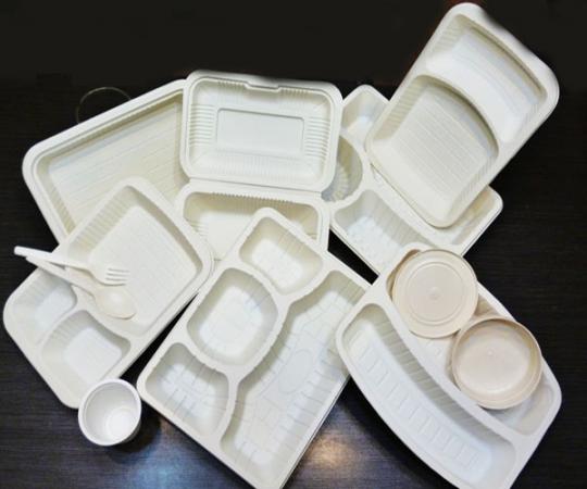 برترین تولیدکننده  ظروف یکبار مصرف قابل بازیافت