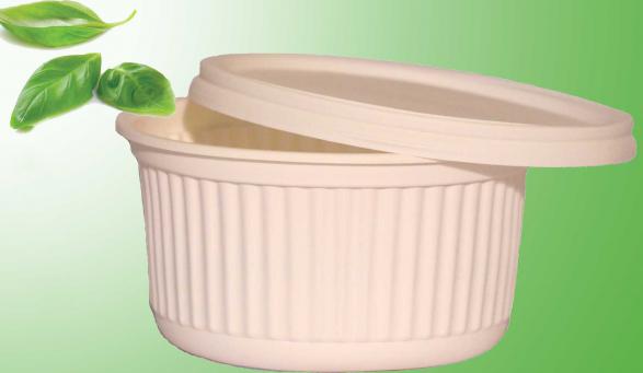 خریدعمده ظروف یکبار مصرف گیاهی سبز